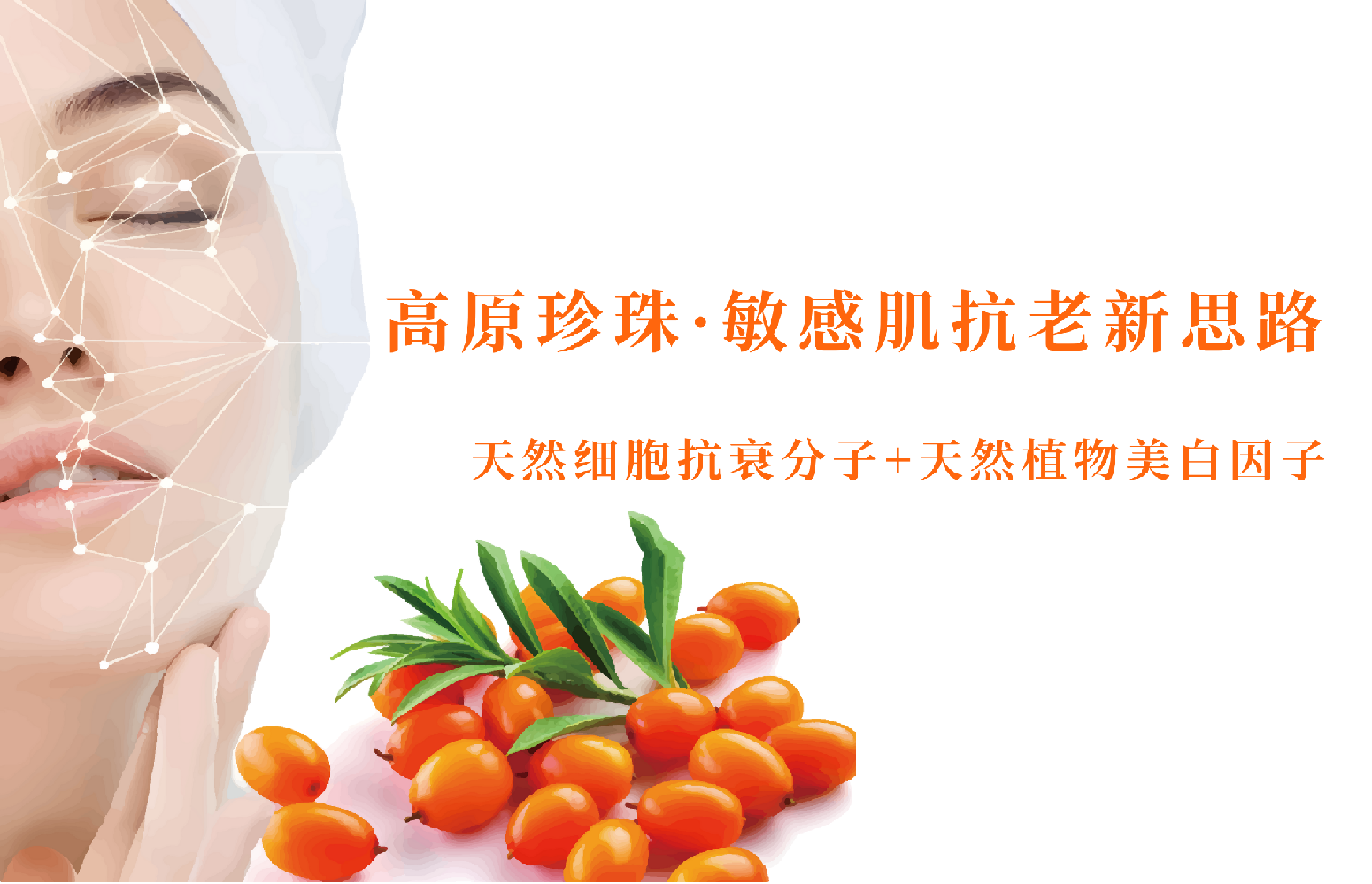 揭秘最強天然抗氧化劑——OPC原花青素